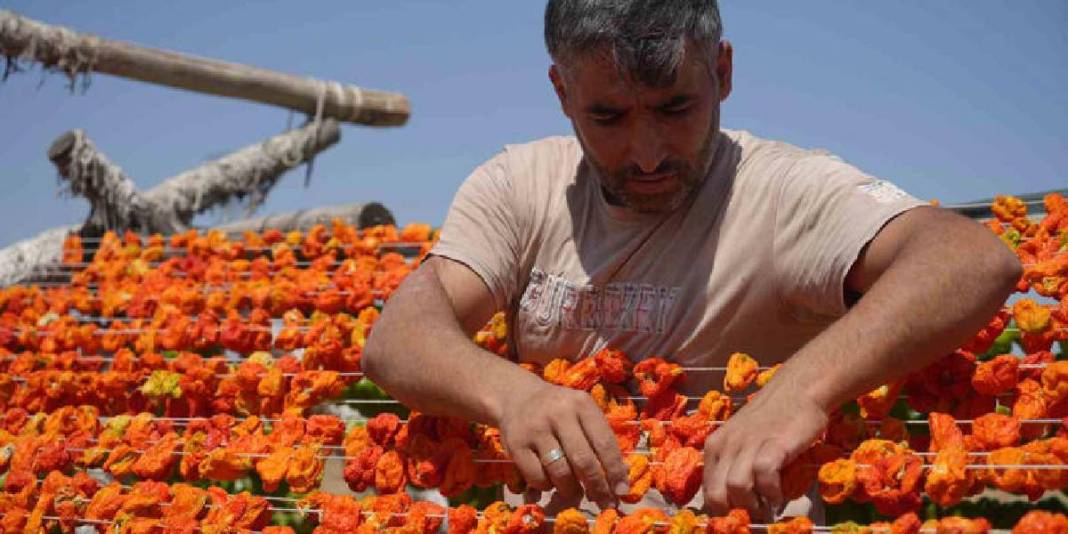 Sezon açıldı eşsiz görüntüler ortaya çıktı! Gaziantep’te lezzetin görsel şöleni: Dron ile görüntülendi… 4